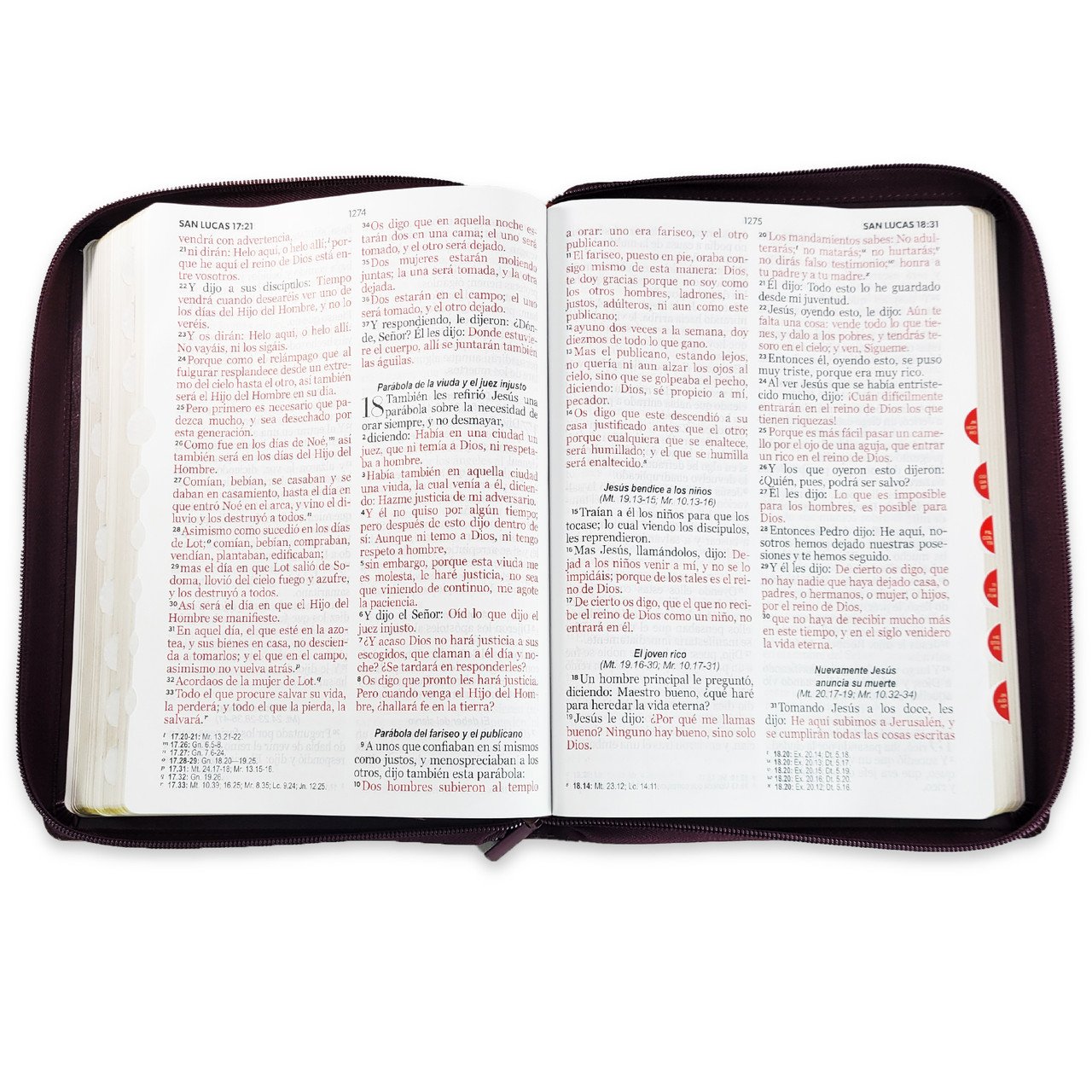 Biblia Gigante 15 puntos RV1960 Café Oscuro 2 Biblia Gigante 15 puntos RV1960 Café Oscuro - Image 2