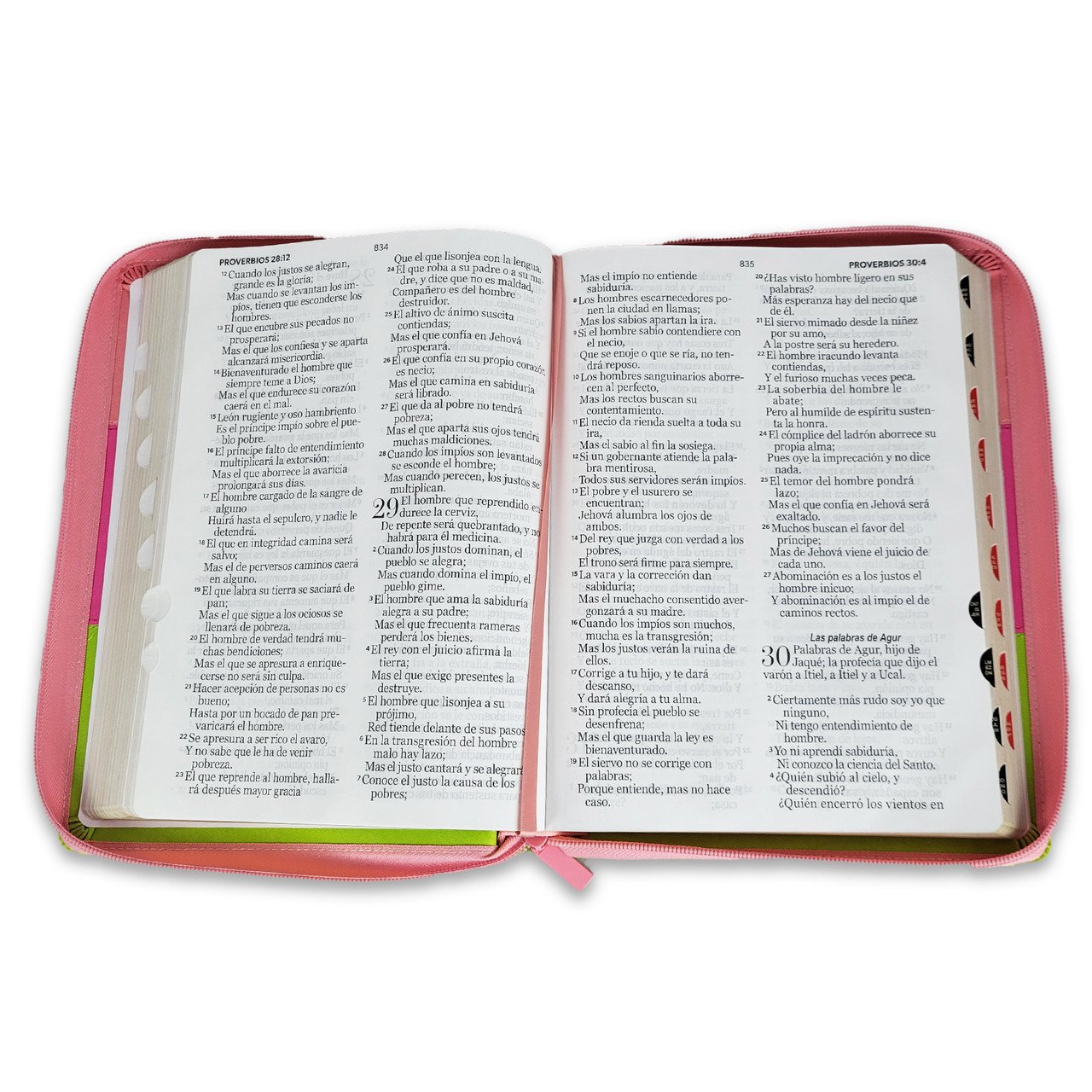 Biblia Letra Gigante 15 puntos RV1960 Tricolor Rosa/Fucsia/Lima 3 Biblia Letra Gigante 15 puntos RV1960 Tricolor Rosa/Fucsia/Lima - Image 3