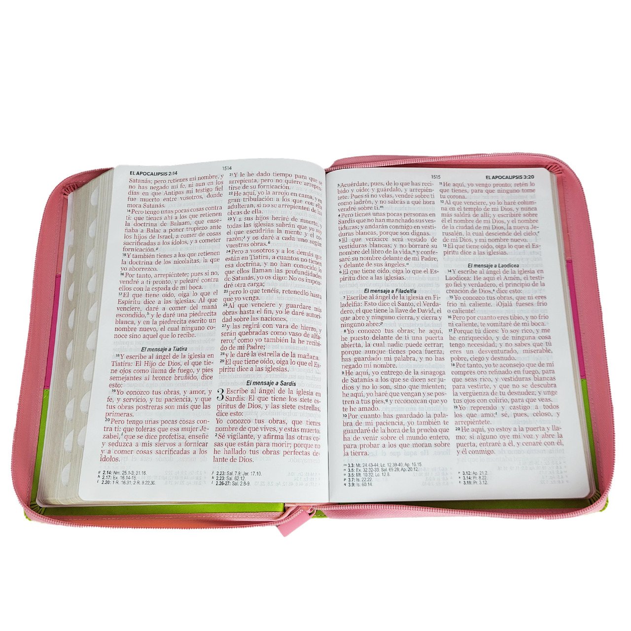 Biblia Letra Gigante 15 puntos RV1960 Tricolor Rosa/Fucsia/Lima 4 Biblia Letra Gigante 15 puntos RV1960 Tricolor Rosa/Fucsia/Lima - Image 4