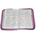 Biblia RVR 1960 Letra Gigante Tricolor Azul Rosa Lila – imagen 3