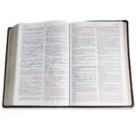 Biblia Bilingue 1960/KJV Letra Grande, Borgoña – imagen 5