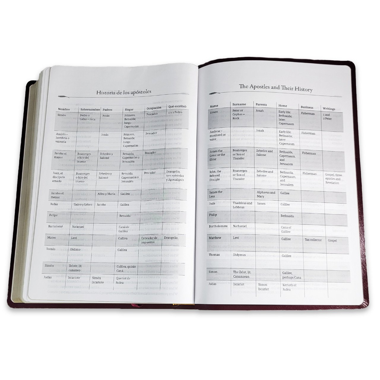 Biblia Bilingüe RV1960 - KJV Letra Grande Borgoña 2 Biblia Bilingüe RV1960 - KJV Letra Grande Borgoña - Image 2