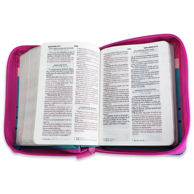 Biblia RVR60 025 cz PJR Primor Fucsia/Rosa/Turquesa con flores 4 Biblia RVR60 025 cz PJR Primor Fucsia/Rosa/Turquesa con flores - Image 4