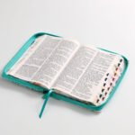 Biblia RV60 065LG Czti PJR Mariposas/turquesa – imagen 3
