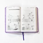 Biblia para Niños NVI Texto Revisado 2022 Lavanda – imagen 5