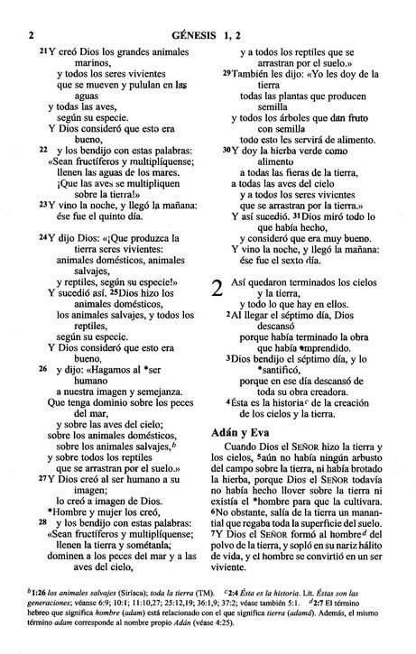 Biblia NVI para niños Tapa blanda 3 Biblia NVI para niños Tapa blanda - Image 3