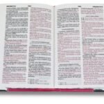 Biblia RVR 1960 Bolsillo Lila Símil Piel – imagen 2