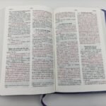 Biblia NVI 060cLG/Lila/Letra 11 PT – imagen 3