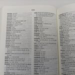 Biblia NVI 060cLG/Lila/Letra 11 PT – imagen 2