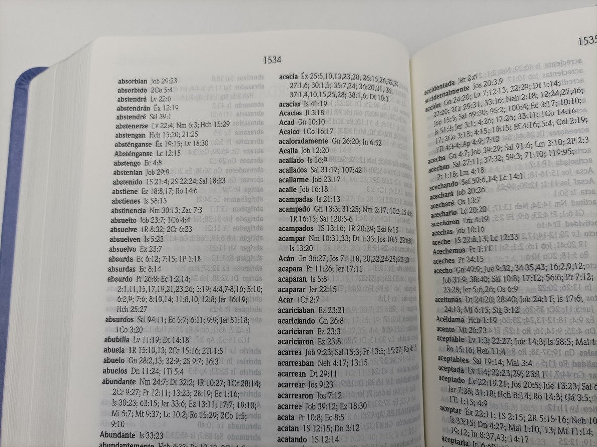 NVI Compacta Letra Grande Lila 2 NVI Compacta Letra Grande Lila - Image 2