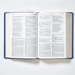 Biblia RVR 1977 de Estudio Mensaje Profético y Escatológico Piel Azul Interior a dos Colores – imagen 3