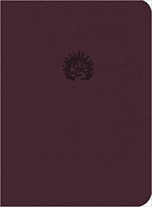 Biblia La Reforma de Estudio color ciruela