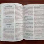 Biblia RVR60/045c/cp/LG/PJR/Coleccion Primaveral Marron – imagen 3