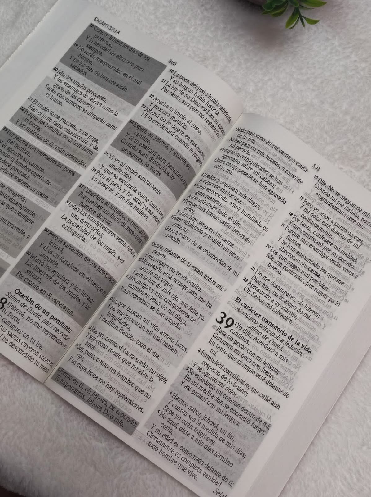 Biblia de Promesas Letra Gigante Forrada 4 Biblia de Promesas Letra Gigante Forrada - Image 4