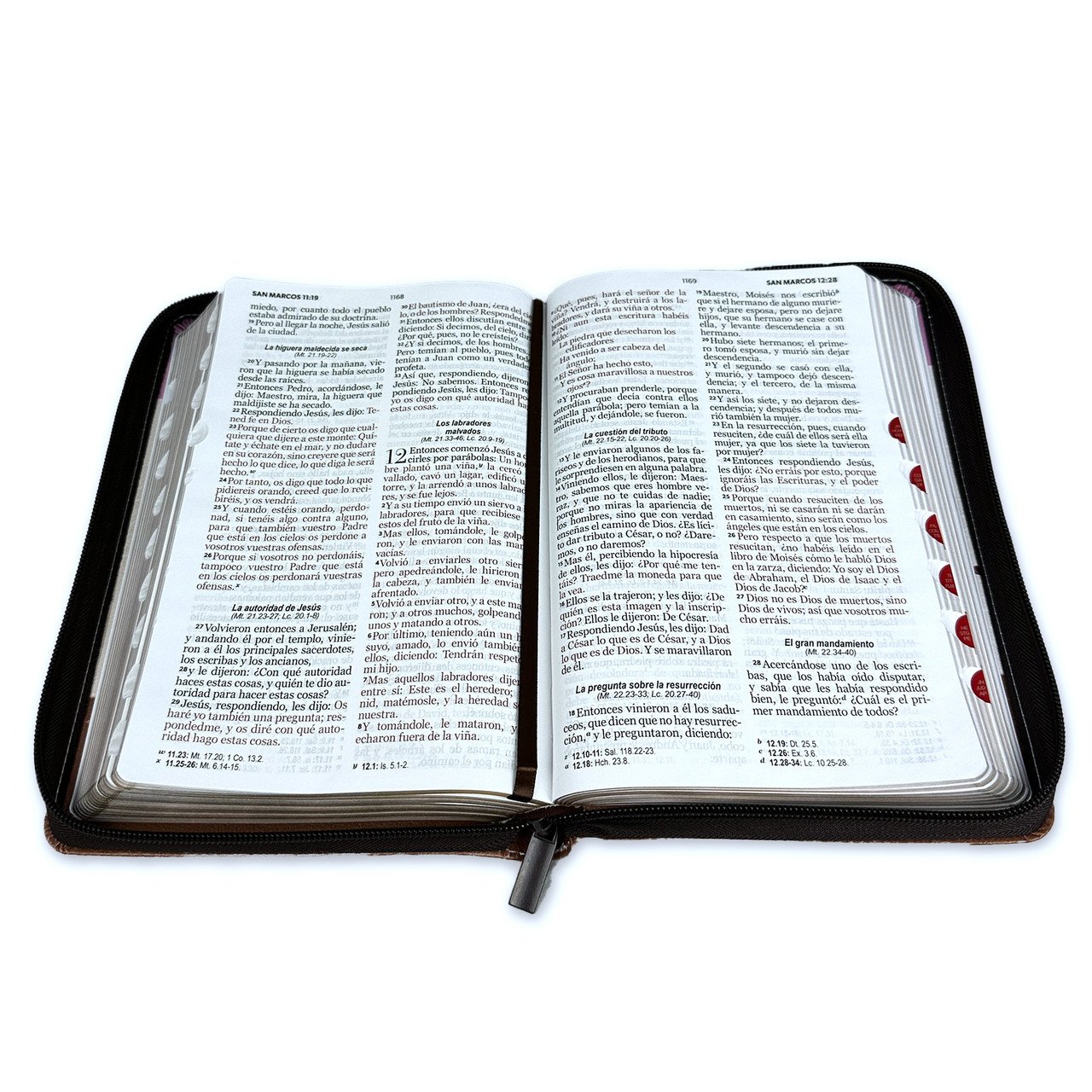 Biblia RVR60 Tricolor Fantasia Rosa/Cafe 3 Biblia RVR60 Tricolor Fantasia Rosa/Cafe - Image 3