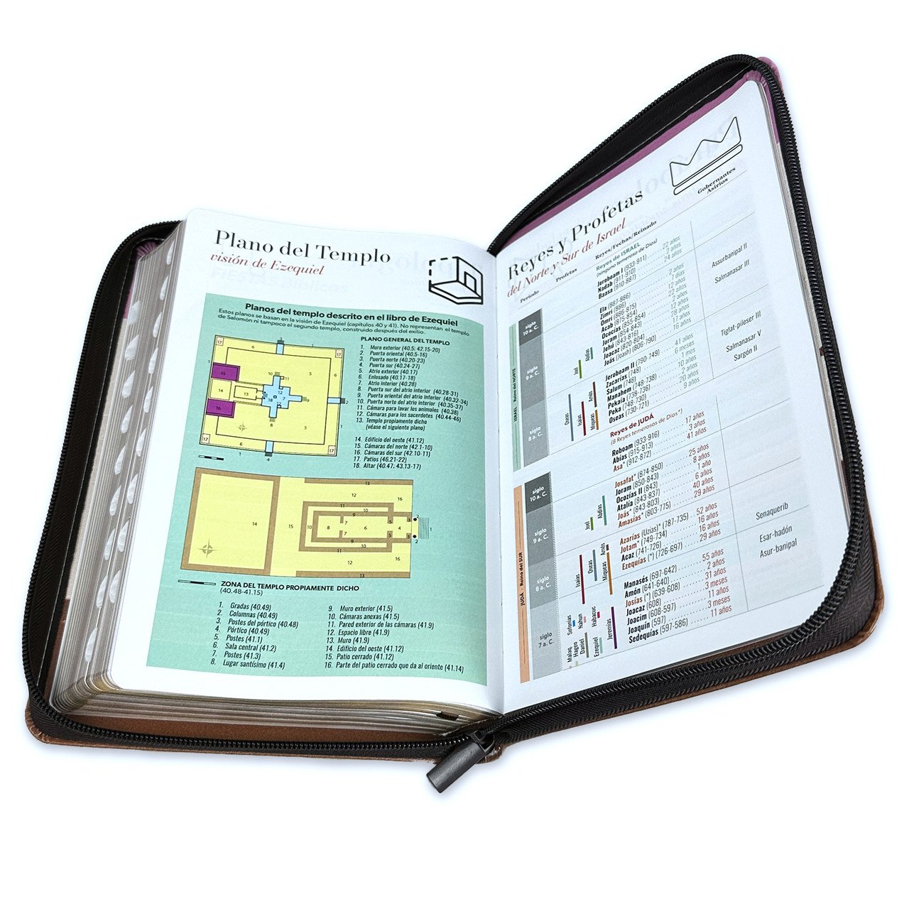 Biblia RVR60 Tricolor Fantasia Rosa/Cafe 4 Biblia RVR60 Tricolor Fantasia Rosa/Cafe - Image 4