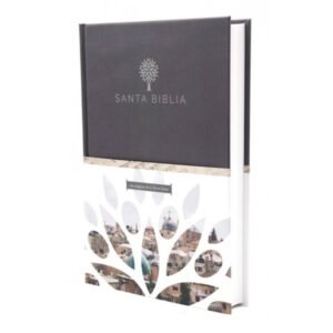 Biblia RVR1960/Letra Grande/Tapa Dura Gris