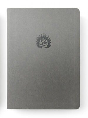 Biblia de Estudio de La Reforma Gris