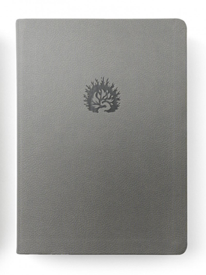 Biblia De Estudio De La Reforma 1 Biblia de Estudio de La Reforma Gris