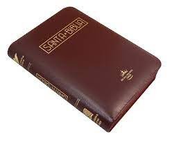 Biblia Reina Valera 1960 Vino Tinto Canto Dorado