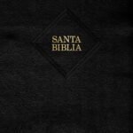 Biblia RVR1960/ Tamaño Manual Letra Grande 2023/ Negro Indice Piel Fab. – imagen 2
