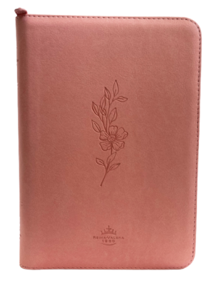Biblia /RVR056cZTILG /Indice Rosado Canto Plateado