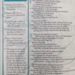Biblia Inspire For Girls
