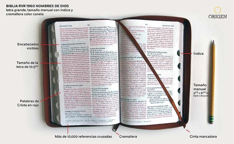 biblia rvr60 tamaño manual canela 2 biblia rvr60 tamaño manual canela - Image 2
