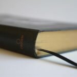 Biblia RVR 1960 León de Judá Letra Grande – Tamaño Manual – imagen 3