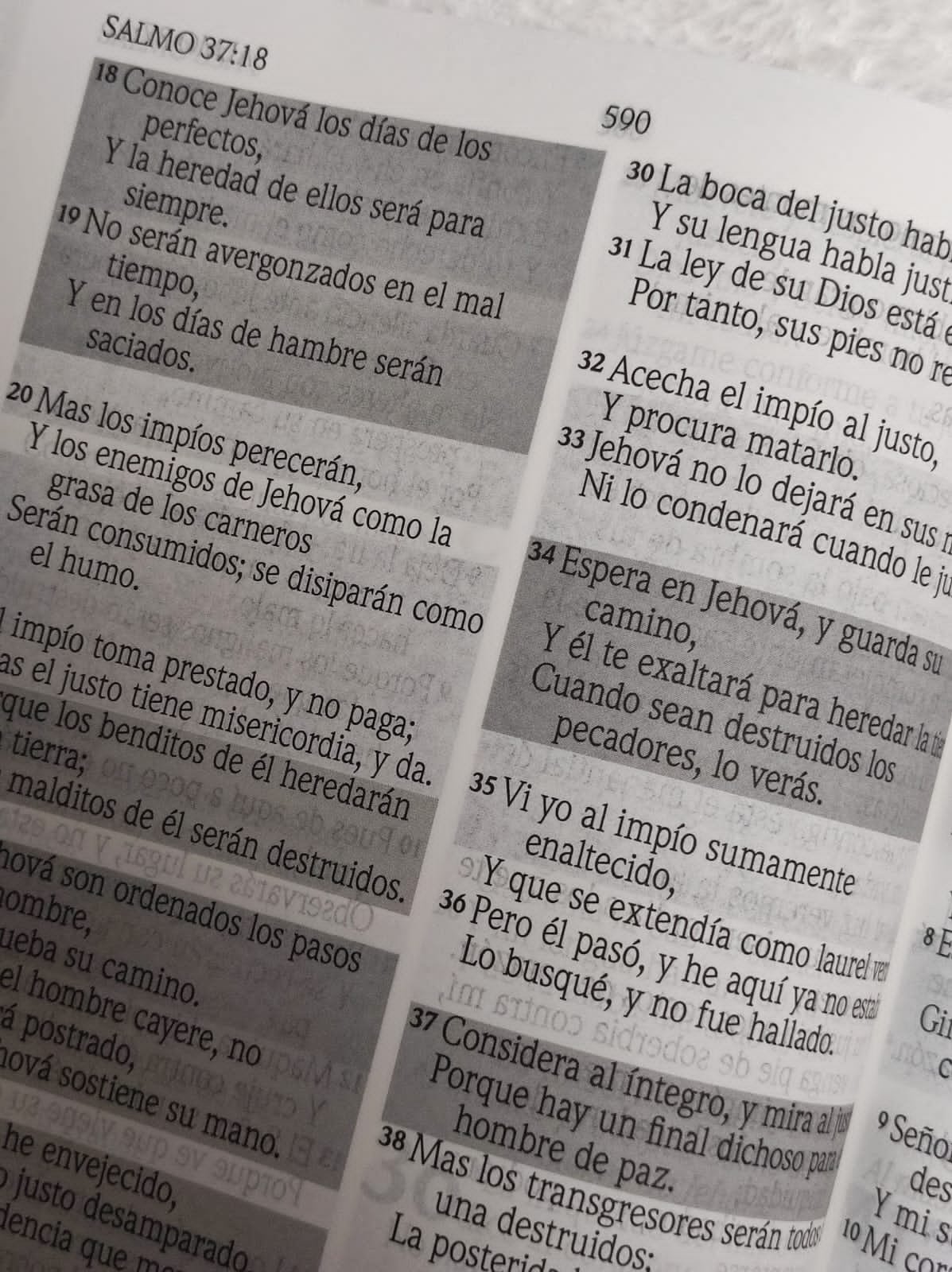 Biblia de Promesas Letra Gigante Forrada 3 Biblia de Promesas Letra Gigante Forrada - Image 3