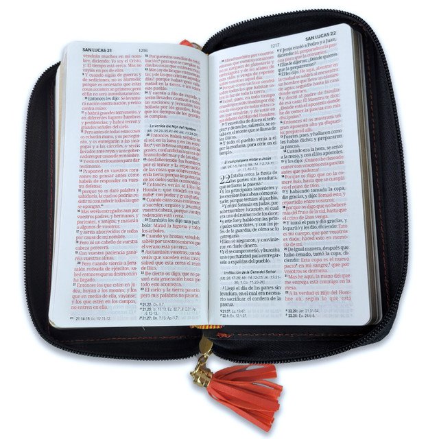 Biblia RVR60 Chequera Beige-Café/ Cierre 3 Biblia RVR60 Chequera Beige-Café/ Cierre - Image 3