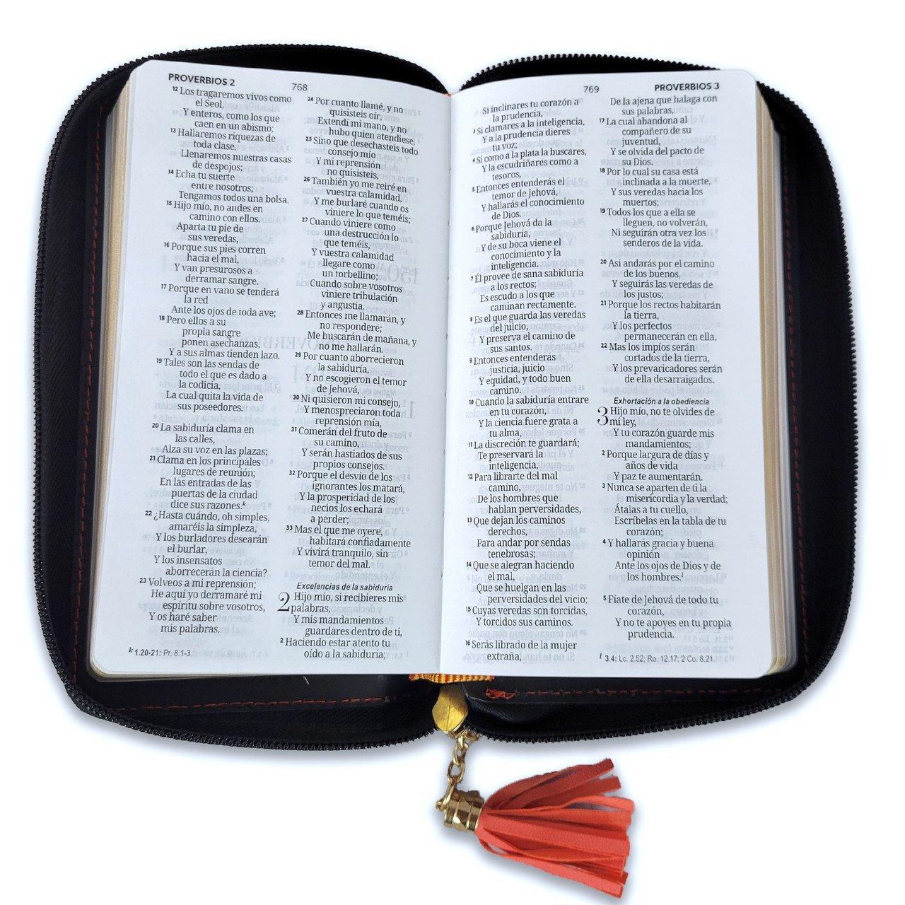 Biblia RVR60 Chequera Beige-Café/ Cierre 4 Biblia RVR60 Chequera Beige-Café/ Cierre - Image 4
