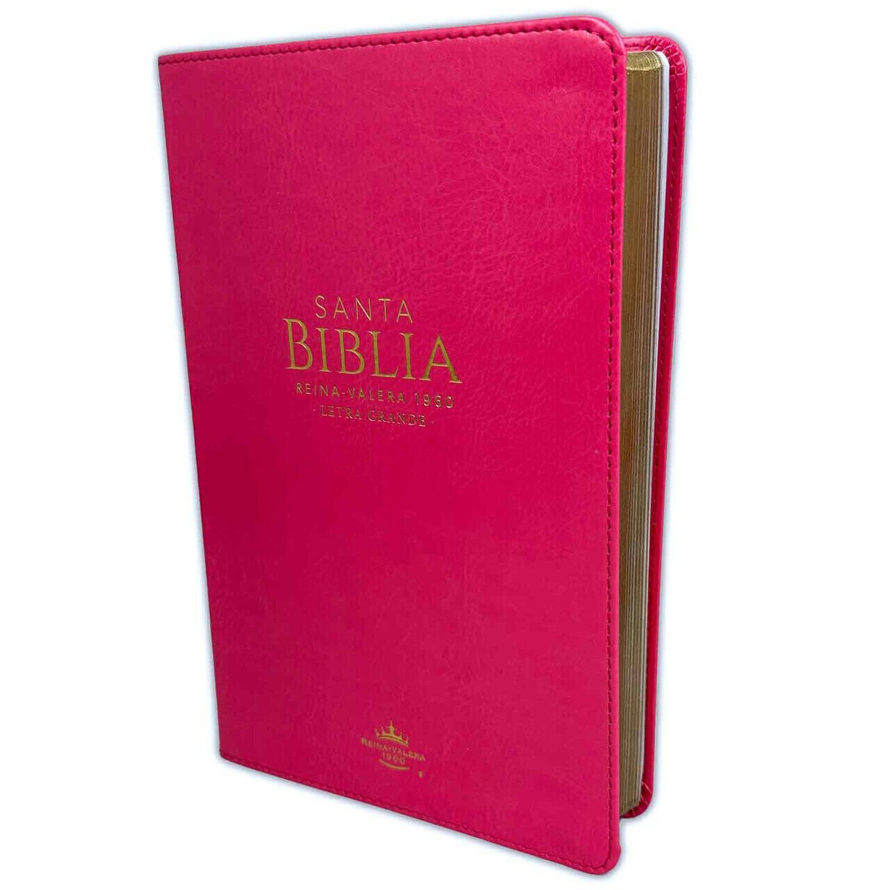 Biblia/RVR1960/Manual 065/LG - 12 Puntos/PJR/Imitacion Piel/Fucsia 1 Biblia/RVR1960/Manual 065/LG - 12 Puntos/PJR/Imitacion Piel/Fucsia