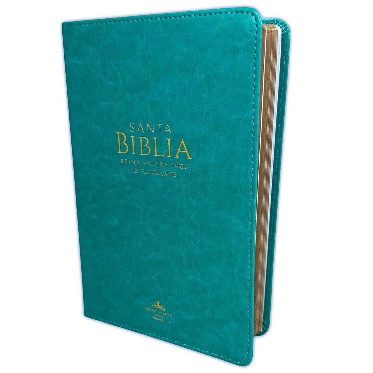 Biblia/RVR1960/Manual 065/LG 12 Puntos/PJR/Imitacion Piel/Turquesa 1 Biblia/RVR1960/Manual 065/LG 12 Puntos/PJR/Imitacion Piel/Turquesa