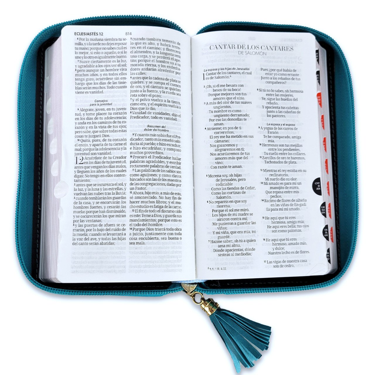 Biblia RVR60 Chequera Turquesa-Blanco Cierre Índice 4 Biblia RVR60 Chequera Turquesa-Blanco Cierre Índice - Image 4