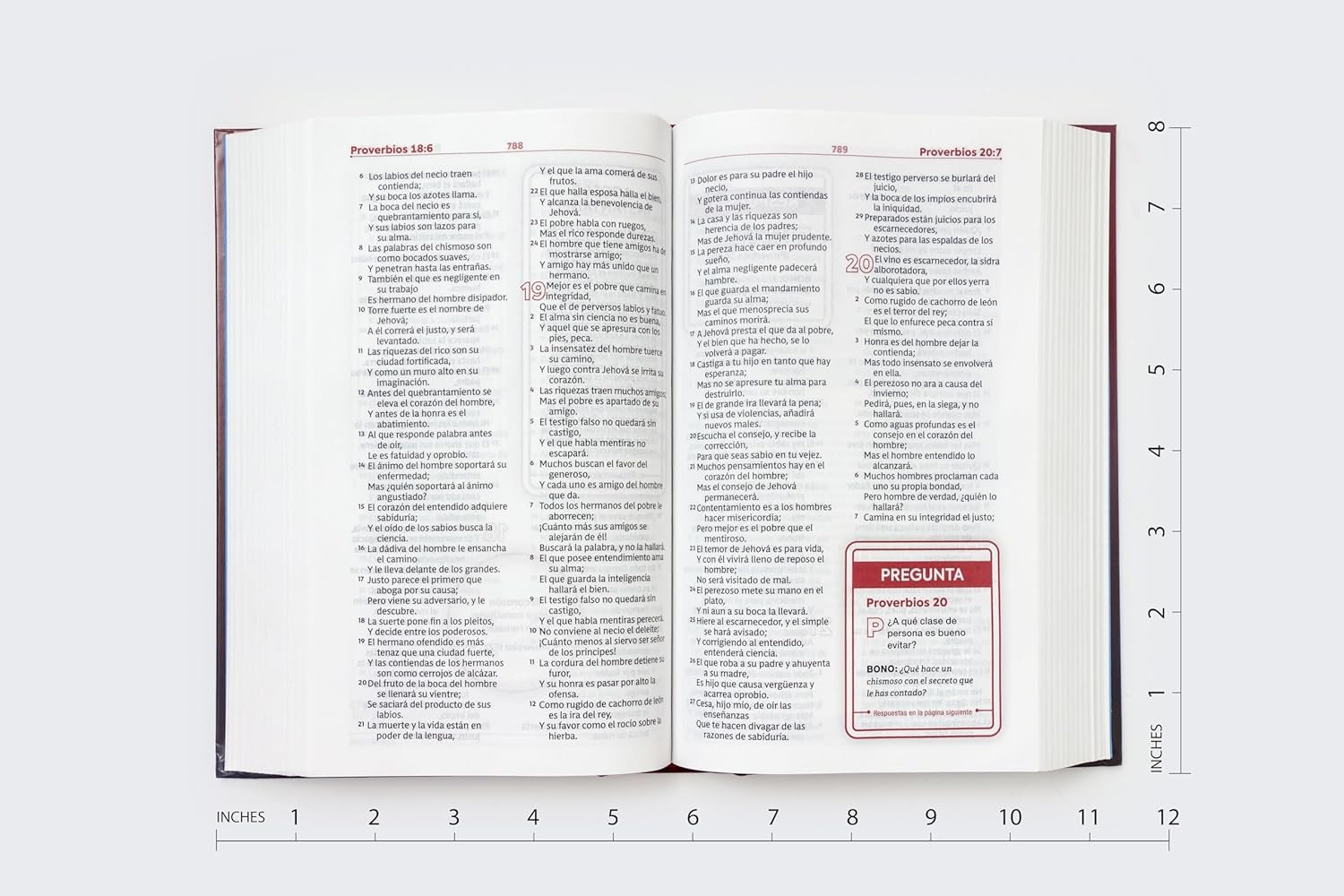 Biblia RVR60 Estudio Para Jóvenes/ Roja Tapa Dura/ Comfort Print 4 Biblia RVR60 Estudio Para Jóvenes/ Roja Tapa Dura/ Comfort Print - Image 4