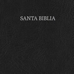 RVR 1960 Biblia Letra Grande Tamano Manual, negro piel fabricada – imagen 2