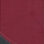 La Biblia en Orden Cronológico RVR60 – imagen 2