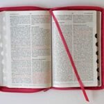 Biblia RVR 1960 Fucsia Crem In – imagen 6