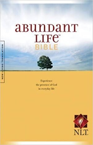 Biblia Vida Abundante - Rustica