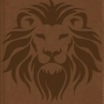 Biblia NBLA de Estudio para Niños Café Símil Piel