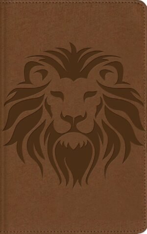 Biblia Visual De Estudio Para Niños NBLA/Café