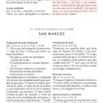 RV1960 Biblia /Letra Grande/Tamaño Manual/Fucsia Zipper – imagen 7