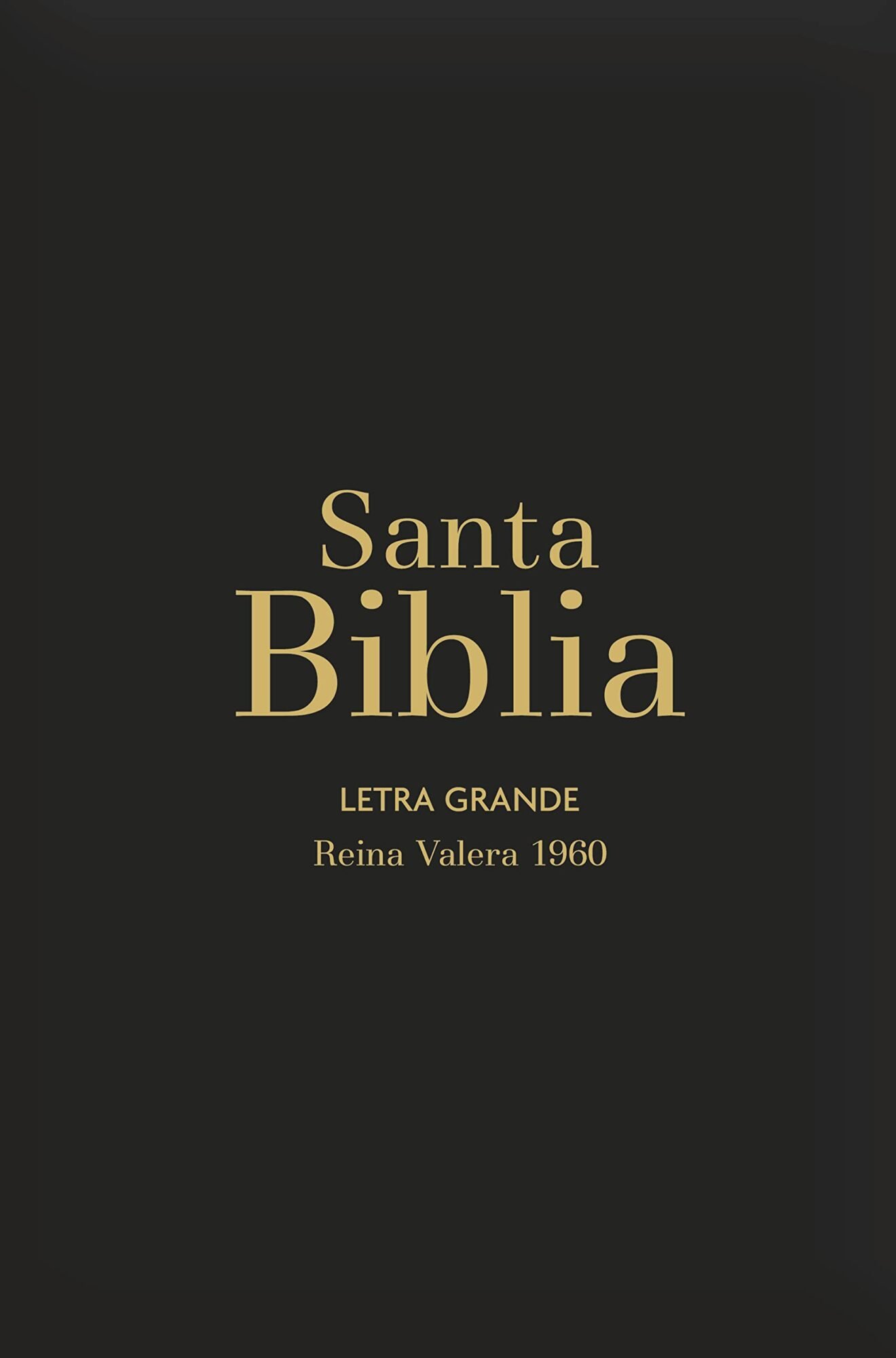 Biblia RVR60 Letra Grande/Tamaño manual - Negro Vinilo 1 Biblia RVR60 Letra Grande/Tamaño manual - Negro Vinilo