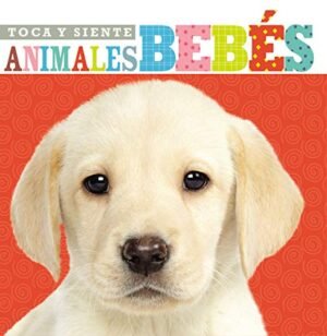 Toca y siente animales Bebé