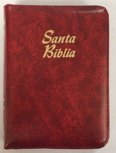 Biblia RVR 1960 con cierre - índice pequeño, alcolchada rojiza 1 Biblia RVR 1960 con cierre - índice pequeño, alcolchada rojiza