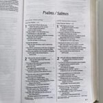 Biblia Bilingue NTV NLT Gris – imagen 3