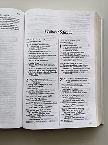 Biblia Bilingue NTV NLT Gris 3 Biblia Bilingue NTV NLT Gris - Image 3