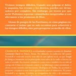 Nunca Pierdas La Esperanza – imagen 4
