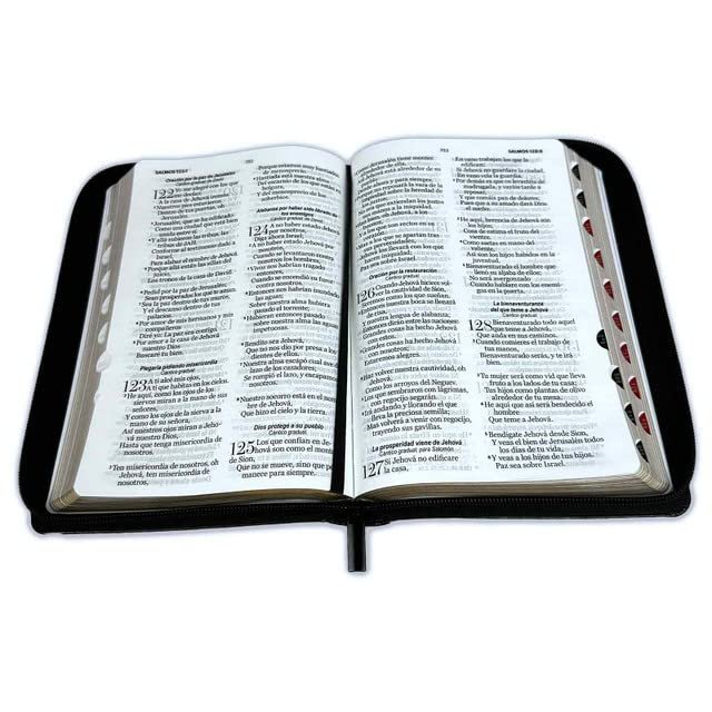 Biblia RVR 1960 Letra Grande Símil Piel 2 Biblia RVR 1960 Letra Grande Símil Piel - Image 2